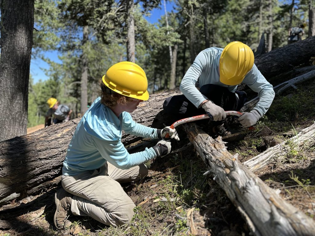 Two individuals wearing yellow hard hats and work gloves are working together on a fallen log in a forest, using tools to manipulate the wood.